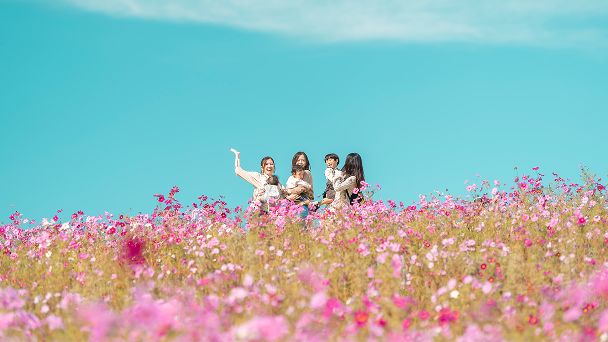 10月は海の中道海浜公園で無料フォトウォークしました